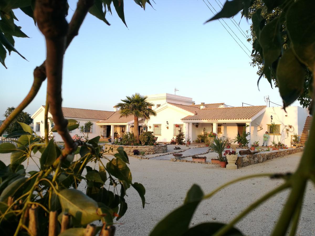 Hotel Casa Fina - Adults Recommended Conil De La Frontera Exterior foto